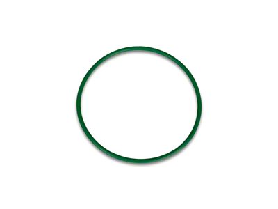 Vibrant Performance Replacement O-Ring for 2.00in HD Weld Fittings - 12573G