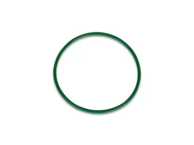 Vibrant Performance Replacement O-Ring for 4.00in HD Weld Fittings - 12578G