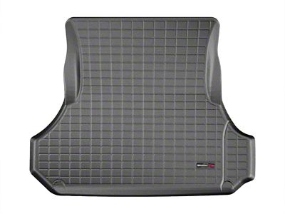 WeatherTech 05-10 Chrysler 300/300C (Does Not Fit SRT8) Cargo Liners - 40270