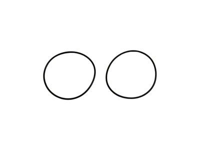 Wehrli LBZ/LMM/LML Duramax Y-Bridge Flange O-Ring Seal Pair - WCF203-86