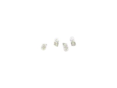 Step Board Light Bulb 4/pkg - Clear
