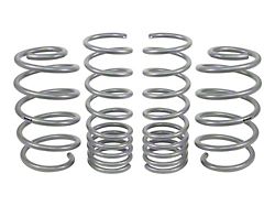 Whiteline Lowering Springs for 2012-2018 Ford Focus ST - WSK-FRD009